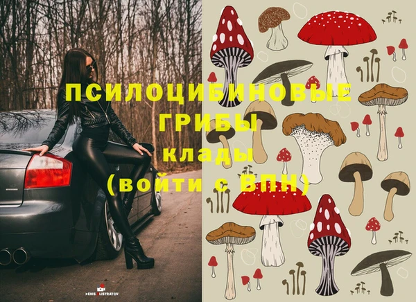 героин Рославль